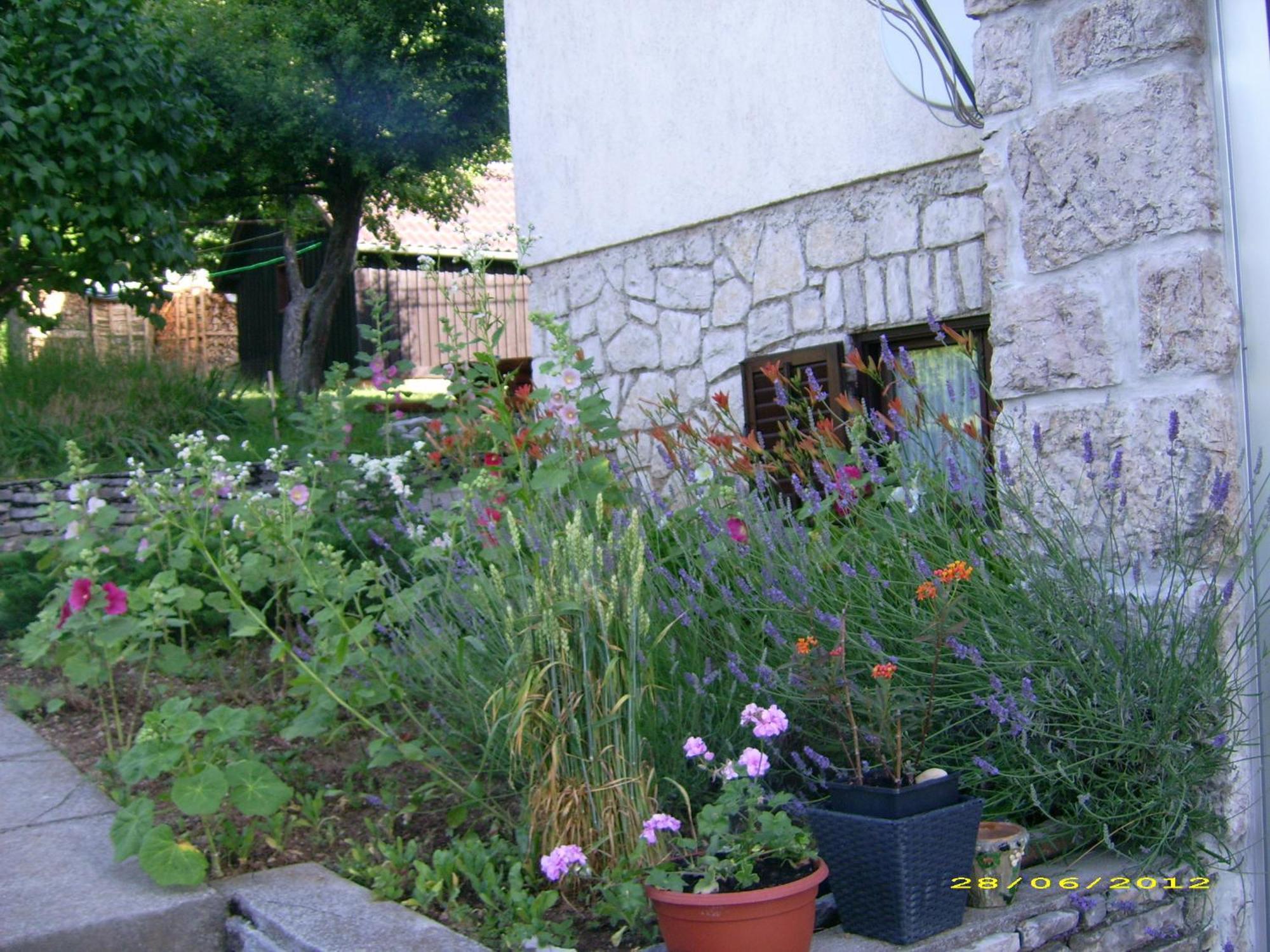 Plitvička Jezera Vila Vuk מראה חיצוני תמונה
